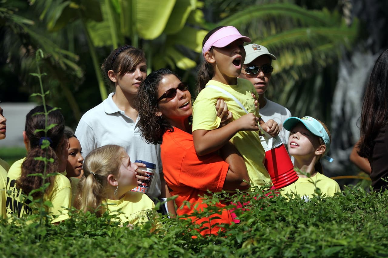 "El hecho de que se pueda encontrar una nueva especie como esta en un fragmento de bosque en peligro de extinción en medio de la ciudad, subraya la importancia de preservar estos ecosistemas", dijo el Frank Ridgley, Gerente de Servicios Miami Zoo.