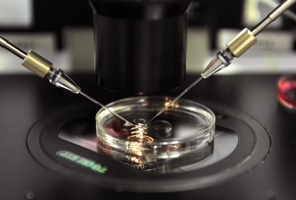 Sangre sobre alfombra conduce al arresto de una mujer que mató a una pareja hace 17 años