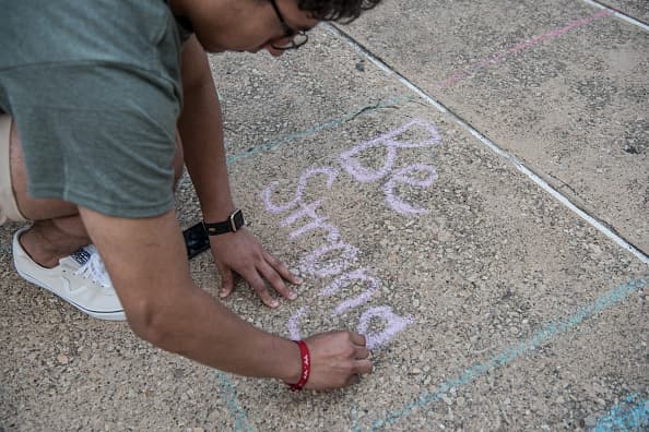"La Legislatura debería considerar formas de hacer que sea fácil, asequible y beneficioso para un vendedor privado de armas de fuego utilizar voluntariamente verificaciones de antecedentes al vender armas de fuego a extraños."