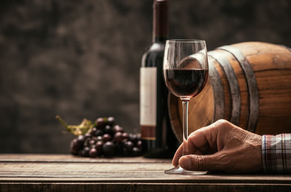 El vino es esa bebida aromática y deliciosa resultante de la fermentación alcohólica, total o parcial, del zumo de uvas, sin adición de ninguna sustancia cuyo cultivo y preparación constituye toda una ciencia y un arte.
