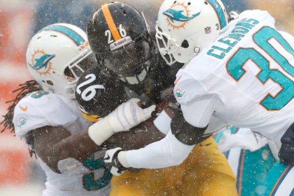 Los fanáticos de los Dolphins ya no hablan de la controversia Incognito/Martin, ni si Ireland o Philbin estarán con el equipo en el 2014, sino que pasan horas calculando… ¡porque tenemos chance de ir a los playoffs! Al principio de la temporada, y sobre todo, después de perder -casi deshonrosamente- contra Tampa Bay y Buffalo, los comentarios sobre Miami eran negativos. Qué si las novatadas, qué si Tannenhill, qué si el running game, qué si la línea ofensiva, que si… qué se yo… Pero ahora, las cosas han cambiado y solo se mencionan las posibilidades que tenemos de jugar en enero. ¡Ay, bendito! Bueno, después de este encontronazo con los portadores de las terribles toallas amarillas, donde salimos vencedores … por media pulgada… 34-28, ya todo me parece posible. Arriba Tannenhill (20 de 33, para 200 yds); arriba Wake and Odrich; arriba Thomas (105 yds, un TD en 16 acarreos); arriba Clay con sus dos TD y arriba Philbin, que mantiene el invicto en la revisión de las jugadas (obtuvo el cambio de “incomplete pass” a TD de Hartline). ¡Arriba, Dolphins, seguimos cuesta arriba!