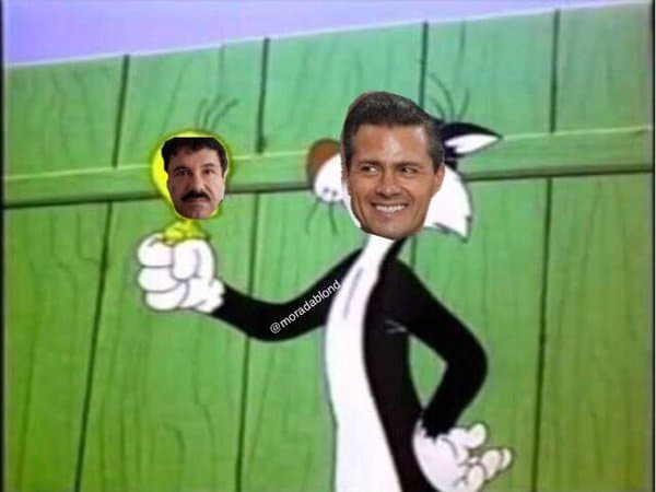 "El Chapo" Guzmán fue capturado una vez más en México y la lluvia de imágenes divertidas no se hizo esperar.