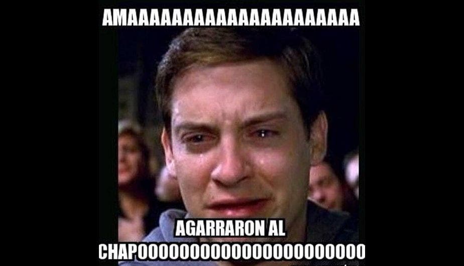"El Chapo" Guzmán fue capturado una vez más en México y la lluvia de imágenes divertidas no se hizo esperar.