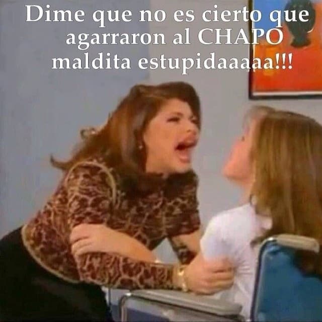 "El Chapo" Guzmán fue capturado una vez más en México y la lluvia de imágenes divertidas no se hizo esperar.