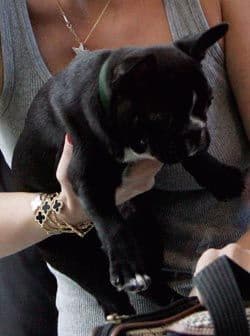 Miren con atención y noten como la guapa Christina Ricci y 'Ramon' tiene rasgos parecidos.