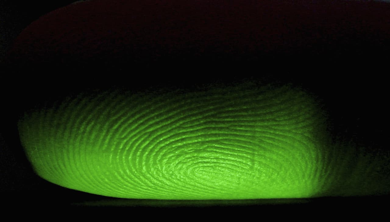 Para evitar que usted sea víctima del robo de identidad, siga estas recomendaciónes: