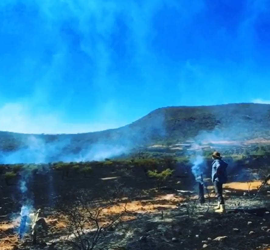 <b><a href="https://www.univision.com/famosos/pepe-aguilar-vive-dias-intensos-tras-el-incendio-rancho-su-suegra-y-3-de-sus-hijos-le-entran-al-reggaeton-video" target="_blank">"Estuvo feo ver eso"</a></b>, dijo en entrevista para el diario mexicano
<b><a href="https://www.eluniversal.com.mx/espectaculos/angela-aguilar-quiere-inspirar-con-su-musica-las-ninas" target="_blank">El Universal</a></b>, publicada este jueves 28 de mayo.
<br>