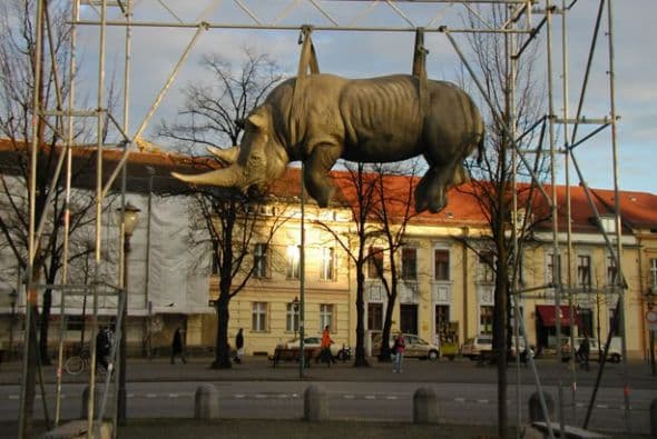 Rinoceronte colgado, Postdam (Alemania)