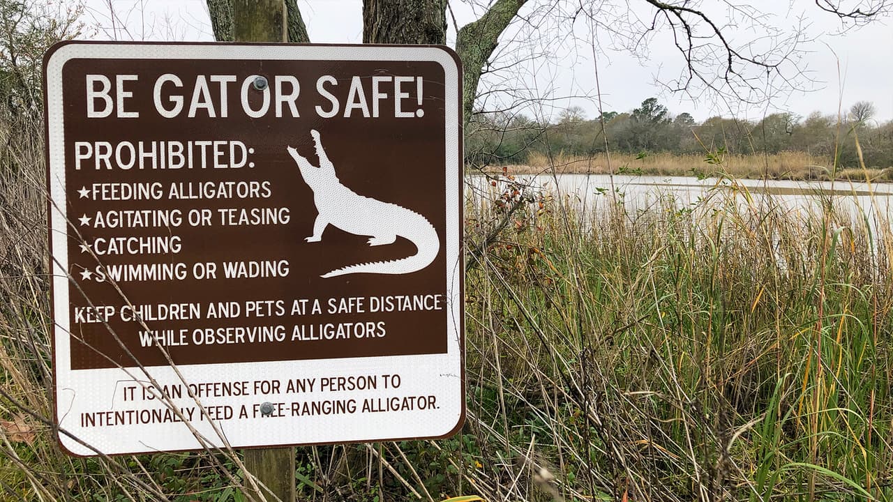 Aunque se dejan ver por momentos, hay avisos instalados en el parque para que los visitantes tengan cuidado en caso de presenciar uno de estos reptiles.