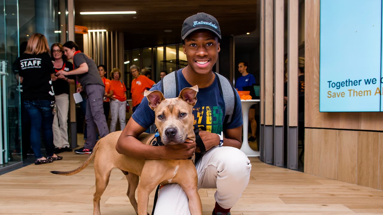 En el Pasadena Animal Center se salvó el 91.8 por ciento de los
<b><a href="https://www.univision.com/local/houston-kxln/rescatan-al-perro-que-habia-sido-golpeado-y-pateado-mientras-lo-grababan-en-video-fotos">perros, y para los gatos</a></b> fue solo del 42 por ciento.