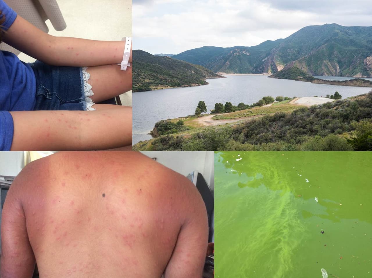 Las autoridades recomiendan evitar el lago Pyramid por un brote de 'algas' tóxicas