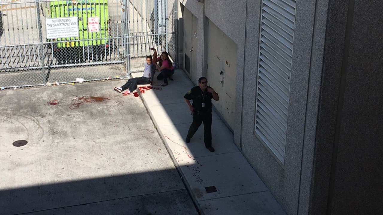 Lo que se sabe y falta por conocer del tiroteo que dejó 5 muertos en el aeropuerto de Fort Lauderdale