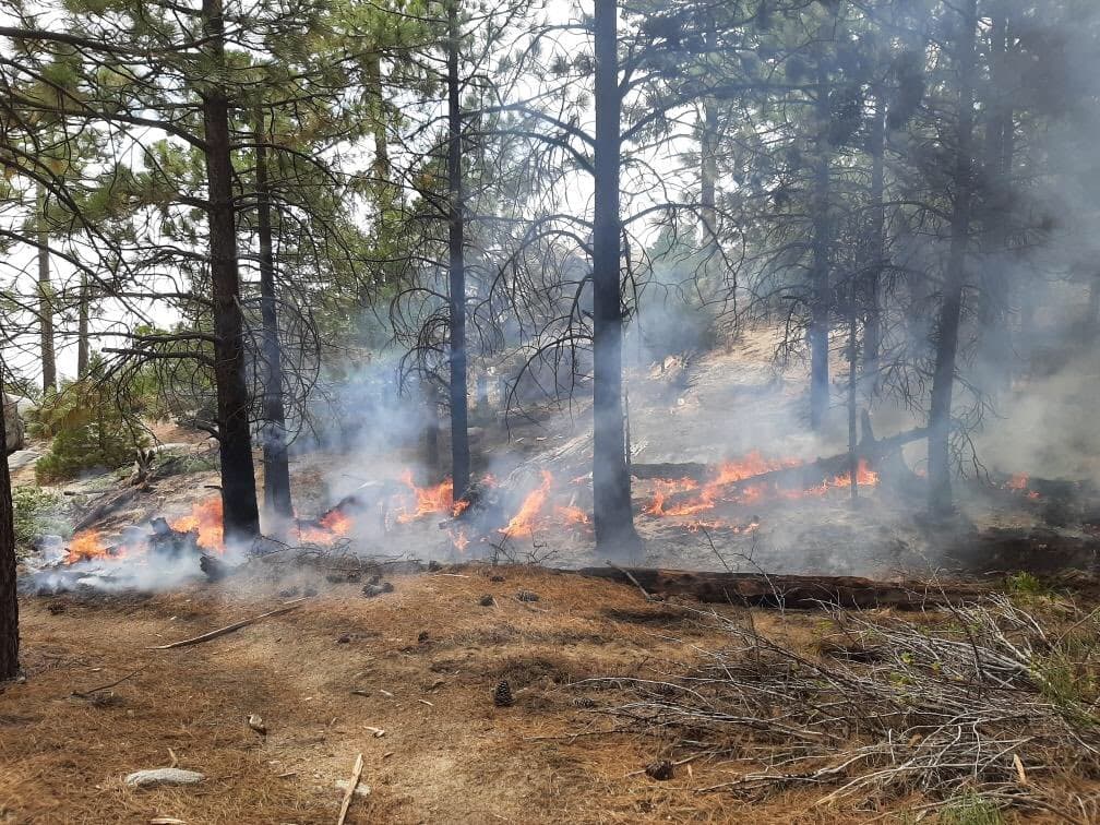 El 
<a href="https://www.fs.usda.gov/sbnf" target="_blank">Bosque Nacional San Bernardino</a>.