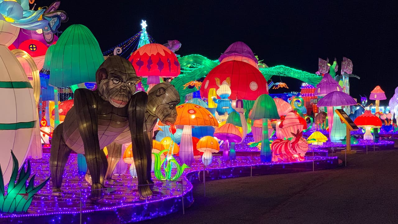 No se permite la entrada vistiendo ropa obscena o inapropiada, cigarrillos, tabaco de mascar, sustancias ilegales, bicicletas, patines y patinetas.