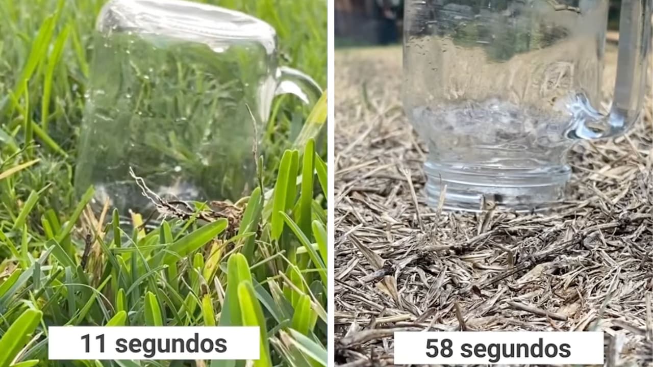 Sequía en Texas: así el pasto dio origen a inundaciones repentinas que causaron una muerte y otros daños