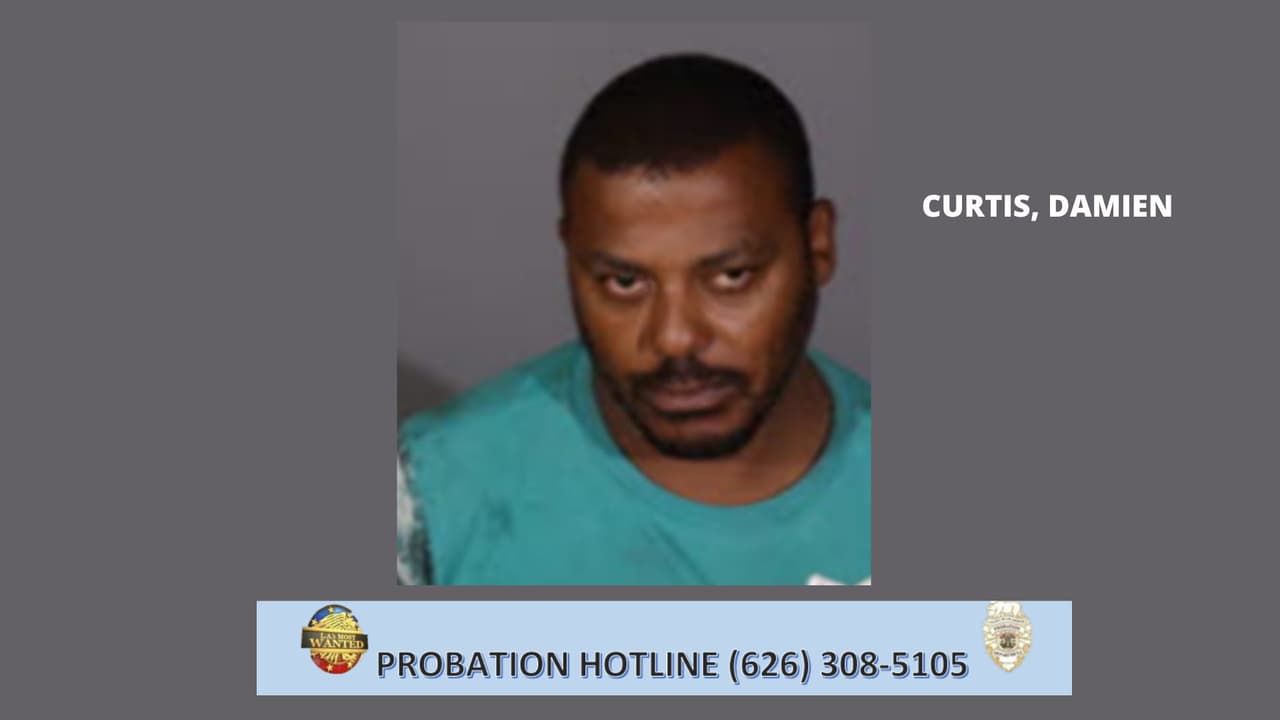 <b>Damien Curtis</b> es un pandillero documentado (42ND ST CRIPS) y tiene un extenso historial criminal adulto que comenzó a la edad de 18 años. Sus condenas incluyen allanamiento de morada, robo, alteración del orden público, recibir propiedad robada, hurto menor, posesión de sustancias narcóticas controladas y gran robo.
<br>
<br>
<b>Marcas/características distintivas</b>: Tatuajes en ambos brazos.
<br>Pandilla: 42ND ST CRIPS
<br>Fue visto por última vez en el área de Los Ángeles.