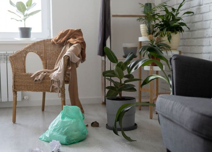 Basura, roommates, mascotas y ropa sucia: los malos olores comunes en casa