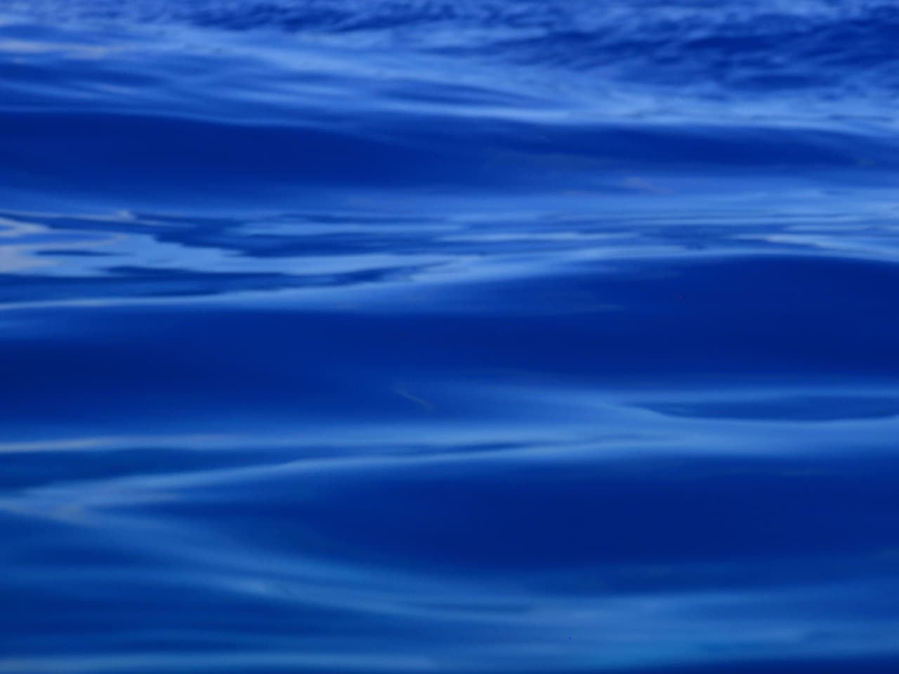 Tu mejor color para atraer el dinero en este mes: el azul marino intenso.