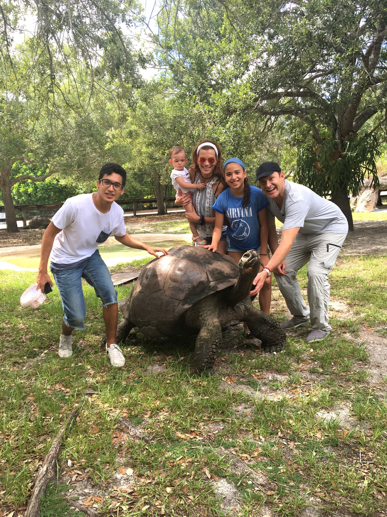 Los Tacher conocieron a George, una amigable y enorme tortuga terrestre.
