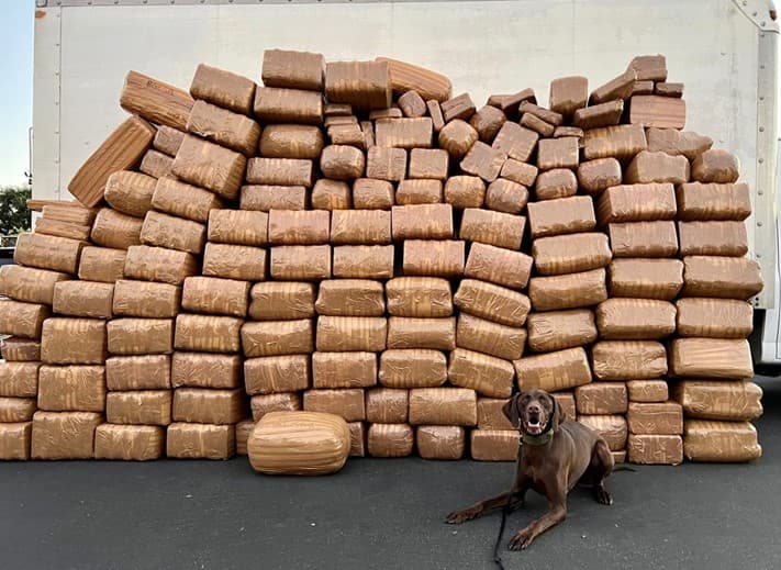 Camión fichado por la DEA fue usado otra vez por un cartel: eso llevó a histórico decomiso de droga