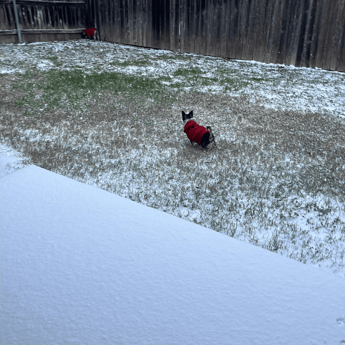 La tormenta invernal trajo una densa capa de nieve que cubrió la ciudad y varias zonas del centro de Texas.
<br>
<br>Usuarios de Univision enviaron las imágenes de cómo vivieron la primer nevada del 2025.