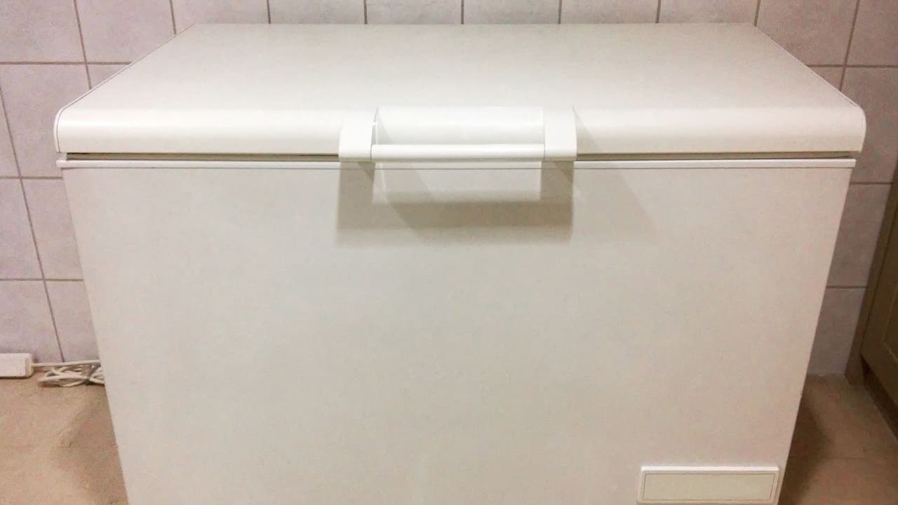 Descubren cadáver de anciana de 93 años en congelador de su casa en Florida