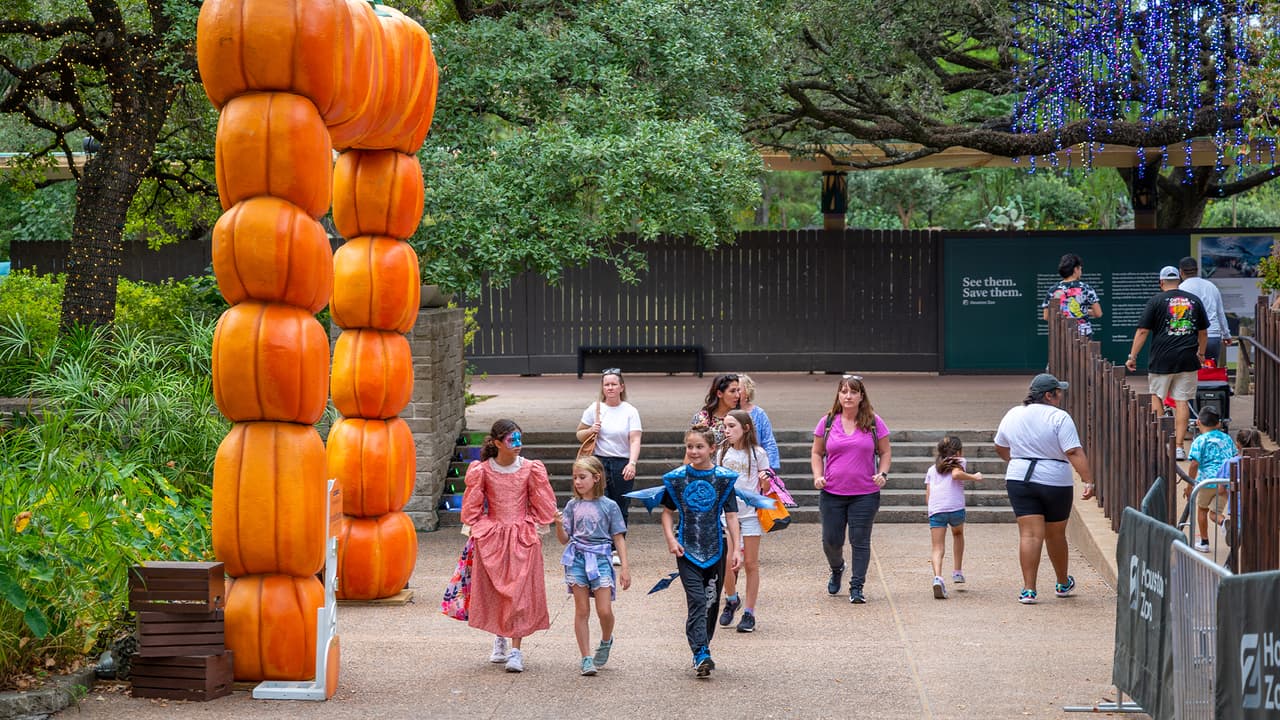 Además de la atracción única de cada viernes, los niños podrán bailar en una pista de baile animada por un DJ y tallar hielo.