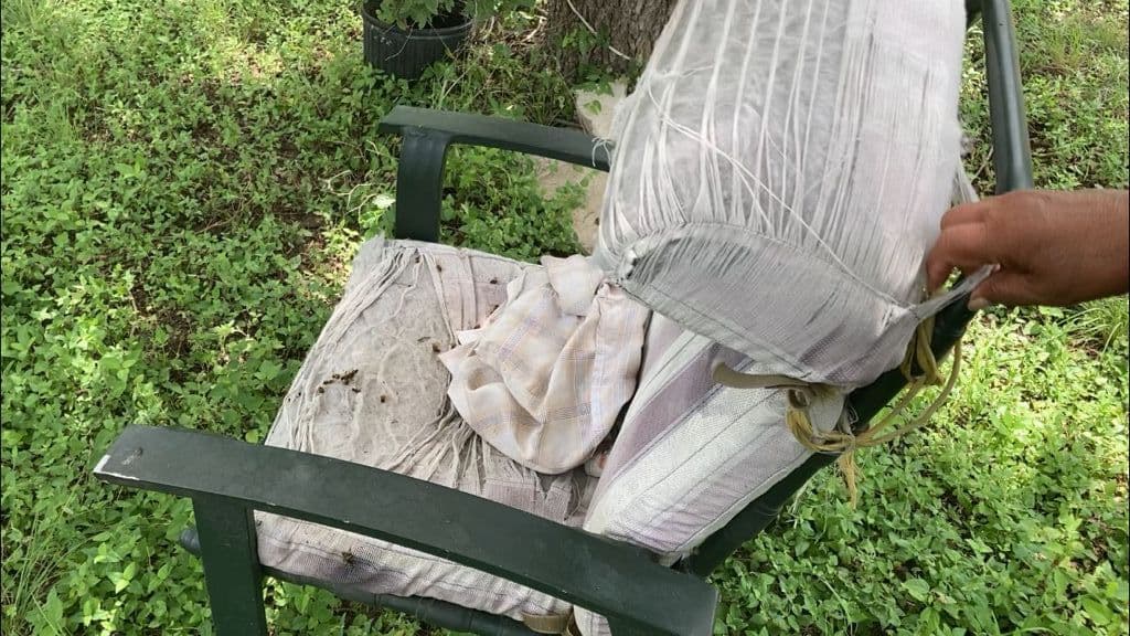 La vecina indicó que cuando llegó al lugar, el hombre estaba cubierto de abejas y que trató de ayudarlo echándole alcohol.