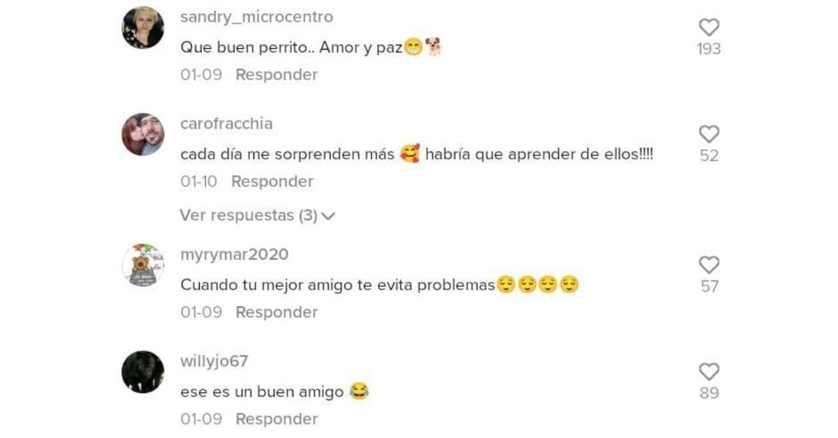 Los usuarios en internet festejaron la acción de 'Firulais'