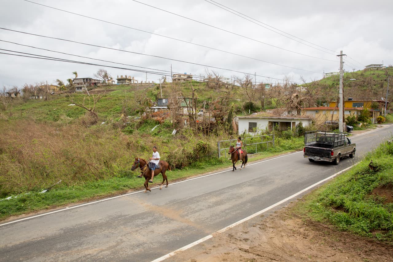 Decenas de caballos salvajes forman parte de la vida cotidiana de Vieques. Mientas una larga fila de autos espera en la pequeña estación de gasolina de la isla para poder cargar combustible, algunos prefieren desplazarse cabalgando.