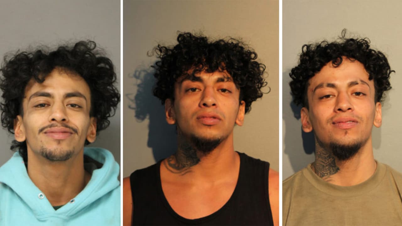 El supuesto ladrón sometido por Redzovic tiene cinco arrestos de acuerdo con los registros de la Policía.