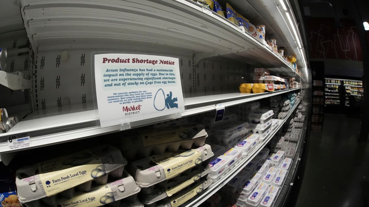 Escasez de huevo en Sacramento: Cómo la gripe aviar afecta a tu bolsillo en plena temporada festiva