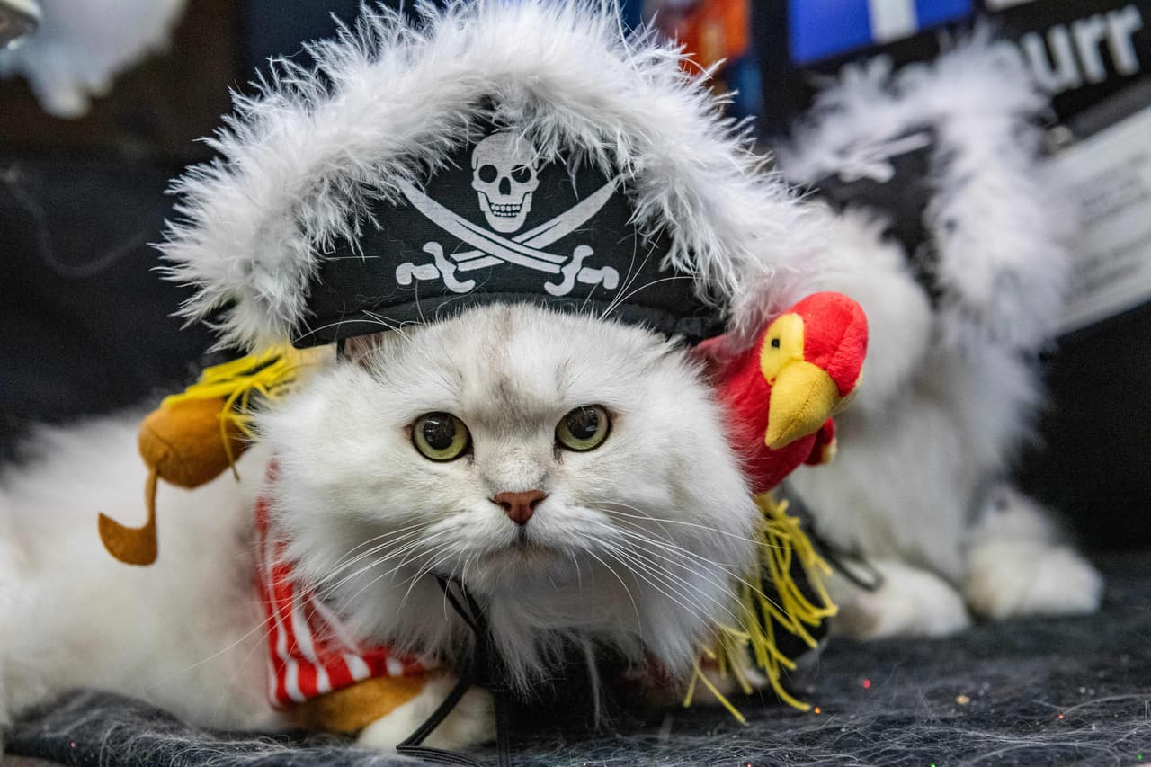 ¿Difícil entrenamiento?