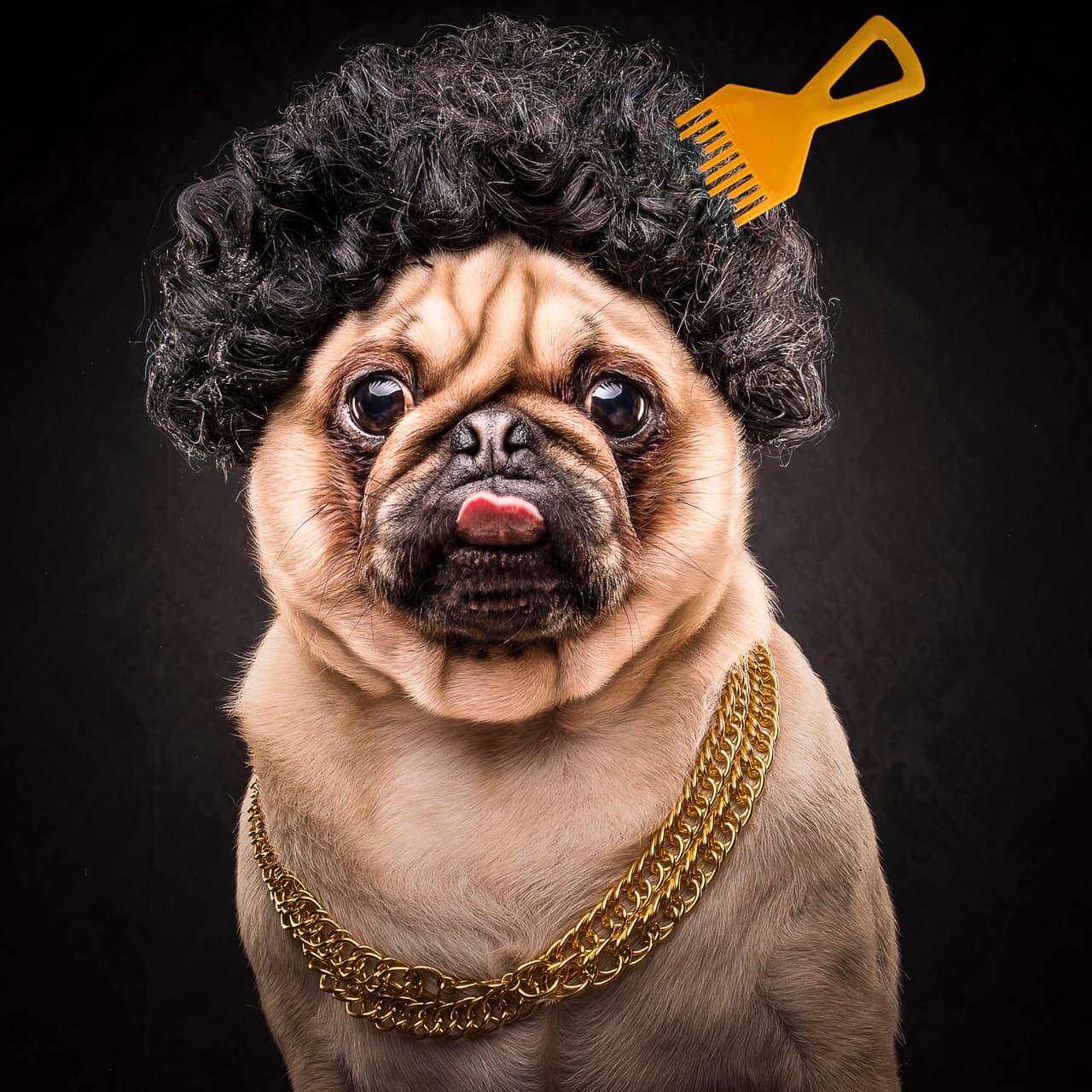 Para las poses entretenidas cada uno eligió su propio estilo.