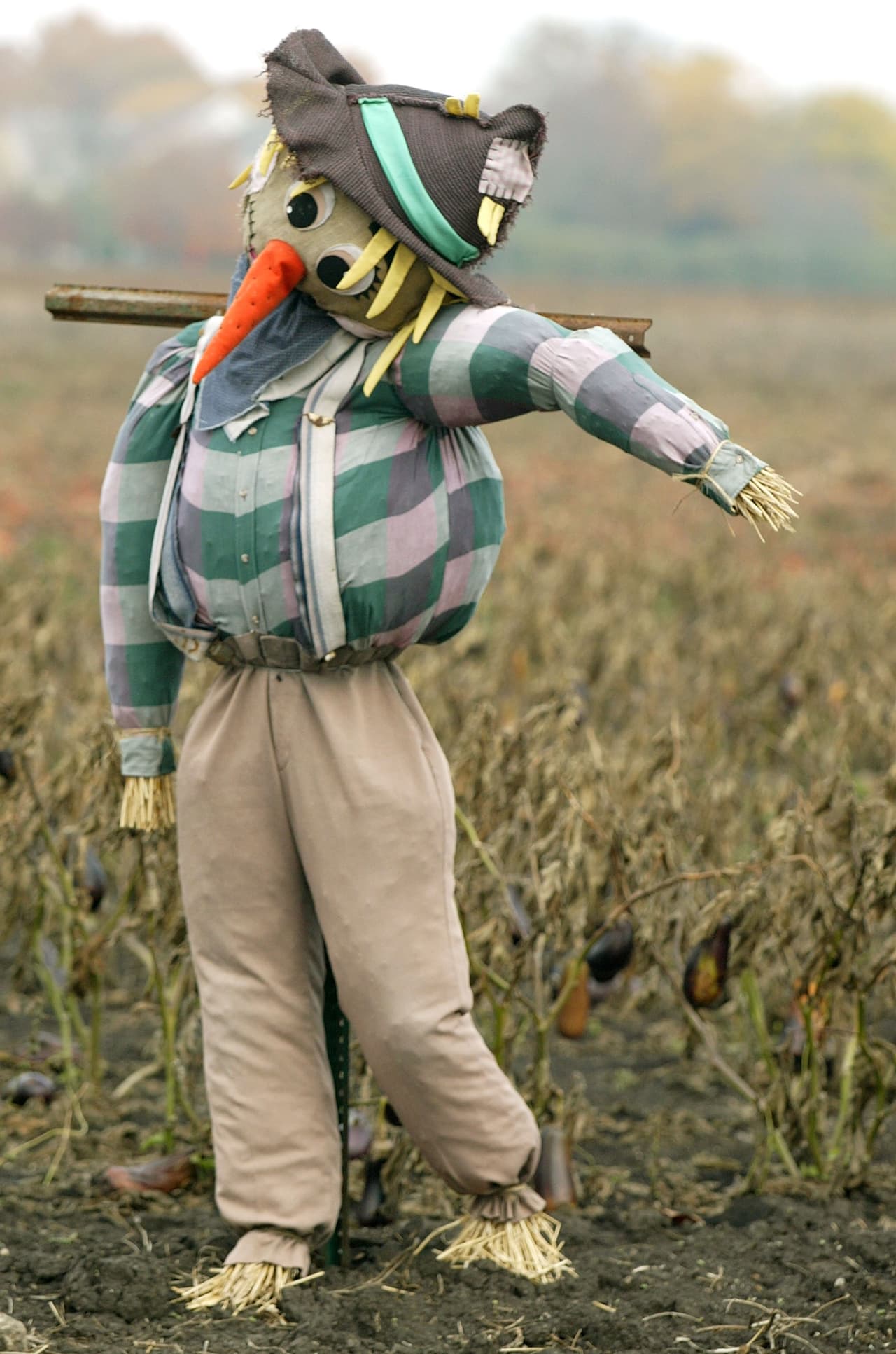 Con el otoño llega la cosecha y es muy común en zonas agrícolas del país ver estos espantapájaros, que desde tiempos prehistóricos se usan para alejar los pájaros de los cultivos.