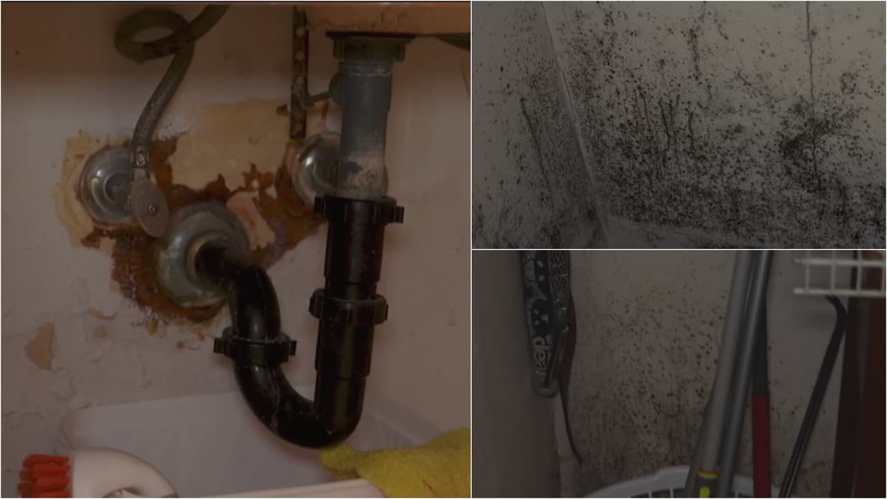 Residente de Sacramento denuncia que propietario ignora reparaciones en casa rentada