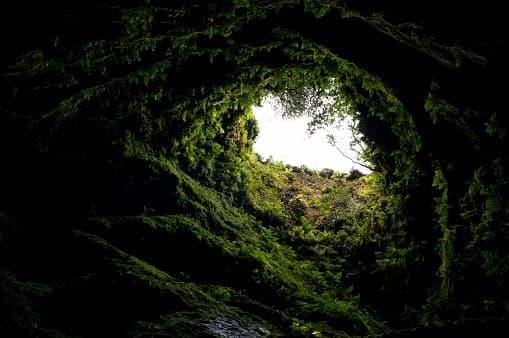 Anciano muere al caer por un viejo túnel de lava que se abrió en su patio trasero 
