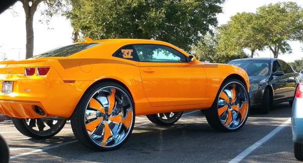 Cosas insólitas que solo se ven en Florida.