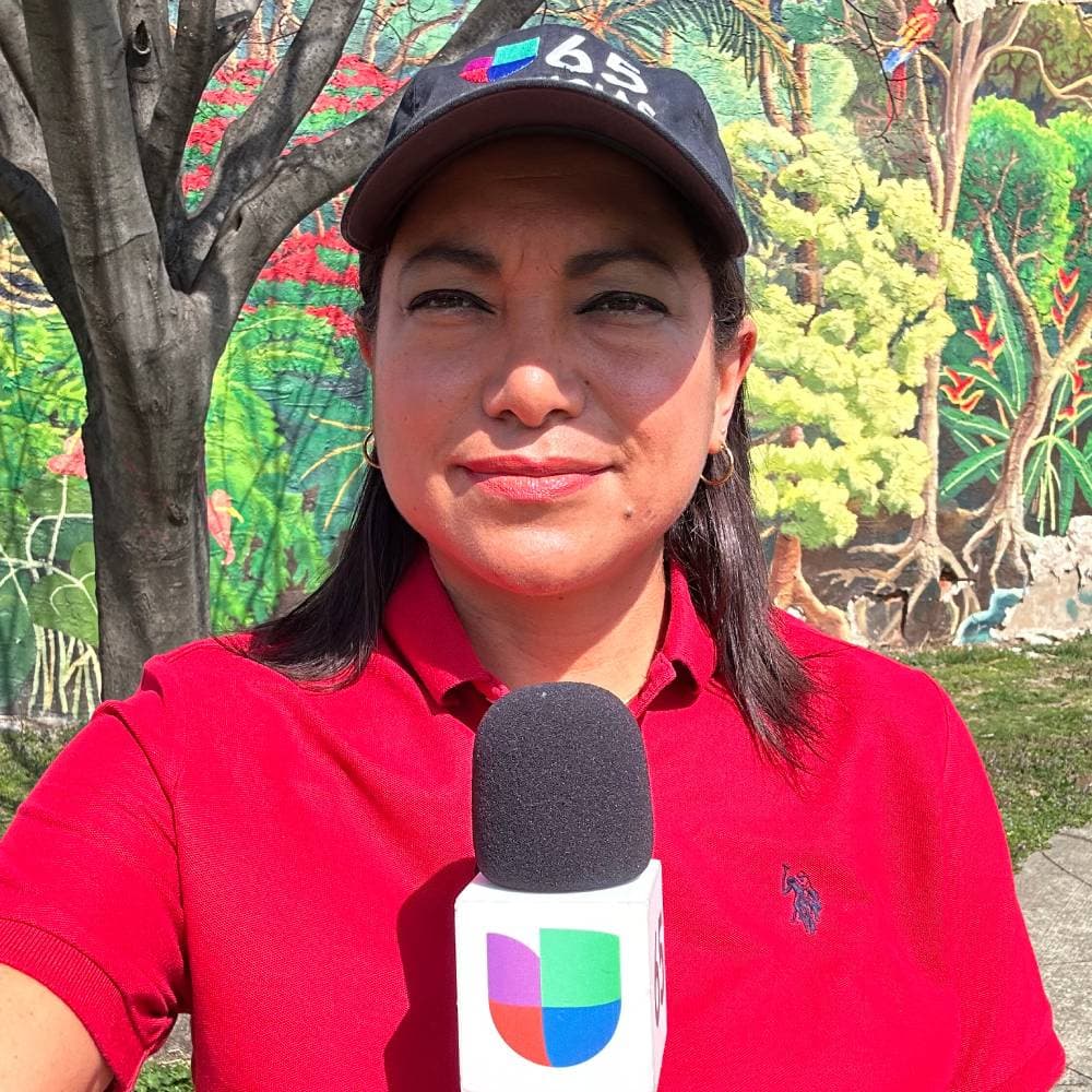 Geisha Torres's profile picture