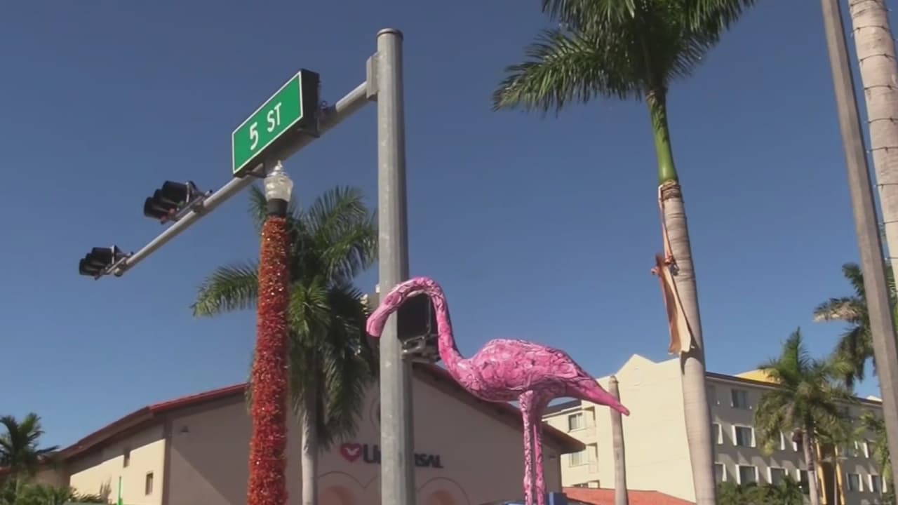 Pintorescos flamencos adornarán la ciudad de Hialeah 