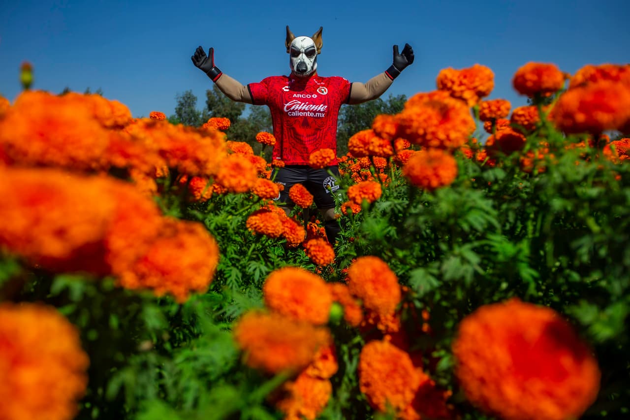 Equipos de diversos deportes, desearon feliz Día de Muertos, tradición mexicana que le ha dado la vuelta al mundo.