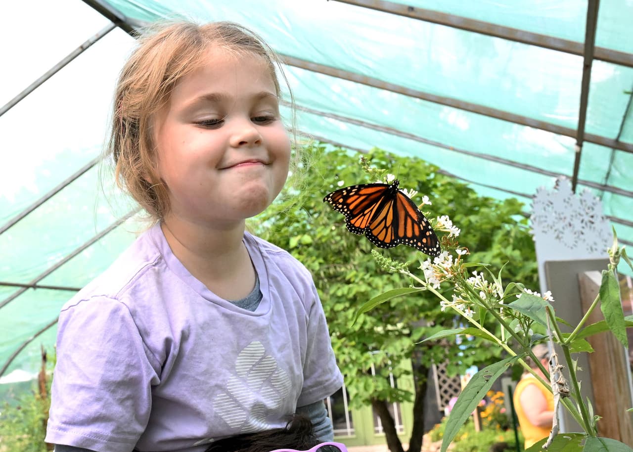 Los más pequeños pueden divertirse y explorar con los animales.