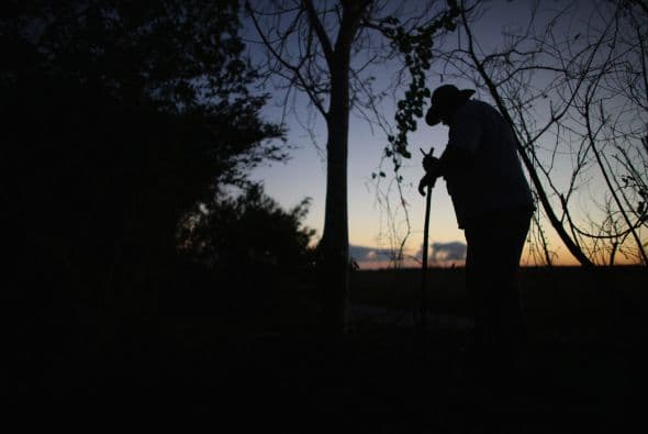 Unas 800 personas participarán en el primer concurso organizado por las autoridades de Florida (EE.UU.) para cazar pitones birmanas, una especie de serpiente no venenosa que ha invadido las zonas salvajes del sur del estado.