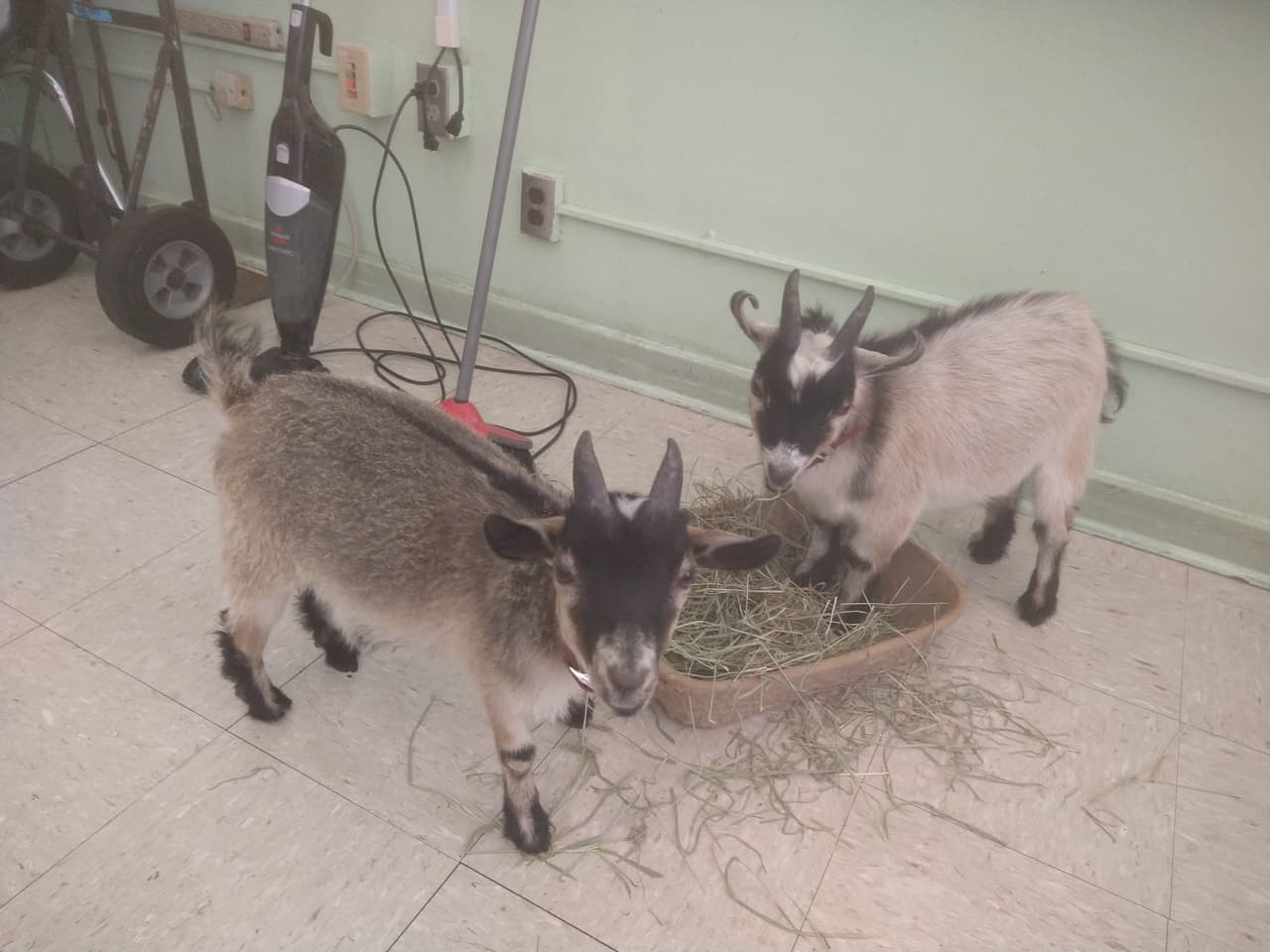 Programa de agricultura de escuela de Hialeah ayuda a estudiantes con necesidades especiales