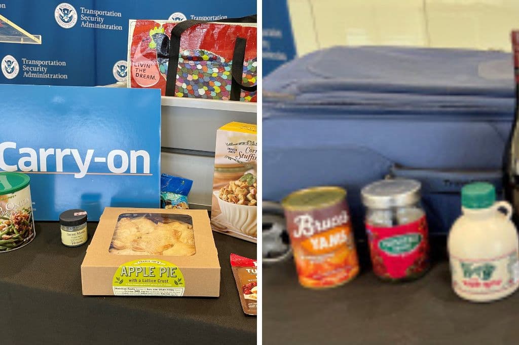 Estos alimentos de Acción de Gracias pueden pasar por área de revisión en aeropuertos de NY