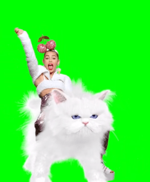 Miley dejó atrás esa imagen de dulce adolescente para convertirse en una mujer polémica y deshinibida. Por supuesto, el tema de su sexualidad ha escandalizado a muchos.