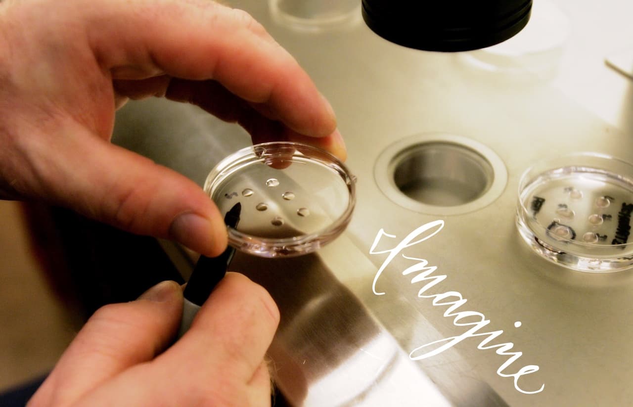 Subrogación de vientres, hasta donde la ciencia lo permita