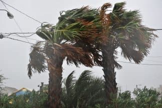 Palm Beach le está pidiendo al estado de la Florida $ 7.6 millones de dólares para recuperar las playas erosionadas