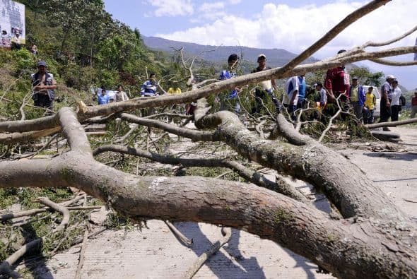 El nuevo reglamento restringe el cupo de venta de la hoja de 15 a 5 libras al raleo, en un intento por evitar que parte de la producción de la hoja esté destinada al mercado ilegal.