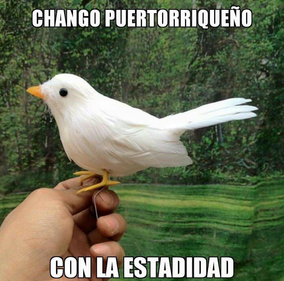 El Zanate Antillano, mejor conocido como Chango con la estadidad